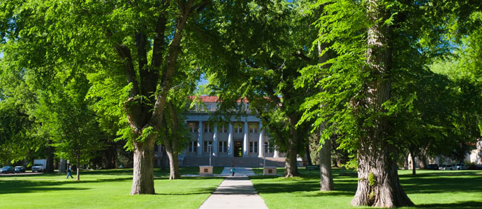 CSU Oval